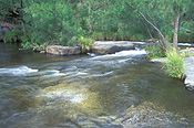Australia, New South Wales, Mann river, Mann river reserve, Mann river nature reserve, nature reserve, nature reserves, river, rivers, water, water scene, water scenes, running water, water, rock, rocks.