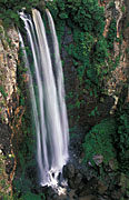 Australia, qld, queensland, main range, main range np, main range national park, National Park, National Parks, DFF, DFFNATPKS, waterfall, waterfalls, running water, water, queen mary, queen mary falls, cliff, cliffs, rainforest, rainforests.