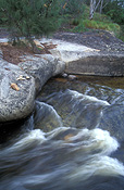 Australia, New South Wales, Mann river, Mann river reserve, Mann river nature reserve, nature reserve, nature reserves, river, rivers, water, water scene, water scenes, running water, water, rock, rocks.