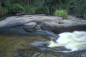 Australia, New South Wales, Mann river, Mann river reserve, Mann river nature reserve, nature reserve, nature reserves, river, rivers, water, water scene, water scenes, running water, water, rock, rocks.