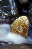 Australia, qld, queensland, lamington, great dividing range, lamington np, lamington national park, national park, national parks, rainforest, rainforests, forest, forests, creek, creeks, stream, streams, water, coomera, coomera river, river, rivers, rock, rocks, running water.