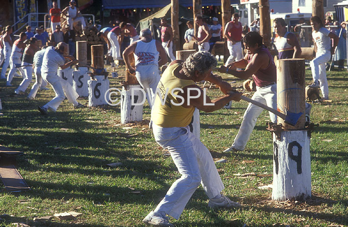 stock photo image: Australia, qld, queensland, Sport pictures, Sports, woodchopping, chop, chops, chopping, woodchopper, woodchoppers, competition, competitions, woodchopping competition, woodchopping competitions, axe, axes, man, men, male, males, outdoors, log, logs.