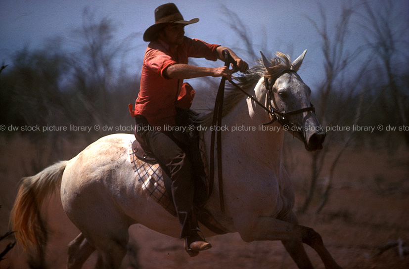 stock photo image: Australia, people, northern territory, nt, man, men, male, males, occupation, occupations, horse, horses, horserding, horserider, horseriders, drover, drovers, stockman, stockmen, cowboy, cowboys, outback, australian outback, outback australia, hat, hats, bridle, bridles, saddle, saddles, akubra, akubras, akubra hat, akubra hats.