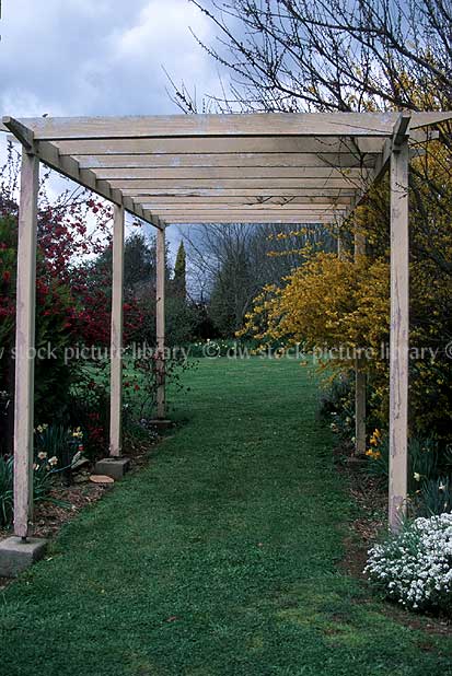 WOODEN PERGOLA IN GARDEN SETTING