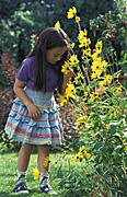 Garden, gardens, people, child, children, children in the garden, child in the garden, girl, girls, flower, flowers, yellow, yellow flower, yellow flowers, child in the garden, children in the garden, daisy, daisies, Australia, Sport pictures, Sports, balloon images, hot air balloons