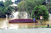 Climate, disaster, disasters, natural disaster, natural disasters, weather, flood, floods, flooding, flooded, river, rivers, sign, signs, tree, trees, water, gympie, queensland, qld, australia, emergency, emergencies, roof, roofs, rooves.