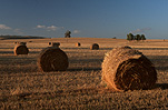 Australia, SA, South Australia, Fleurieu, Fleurieu Peninsula, Peninsula, Peninsulas, Rural, Rural Scene, Rural Scenes, Agriculture, Farming, Farmland, farm, farms, hay, haybale, haybales, hay bale, hay bales, crop, crops, straw, straw bale, straw bales.