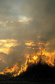Disaster, disasters, natural disaster, natural disasters, Fire, Fires, Bushfire, Bushfires, Australia, NSW, sydney, new South Wales, burn, burns, burning, burnt, flame, flames, smoke, IS47,
