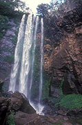Australia, qld, queensland, main range, main range np, main range national park, National Park, National Parks, waterfall, waterfalls, running water, water, queen mary, queen mary falls, cliff, cliffs, rainforest, rainforests.