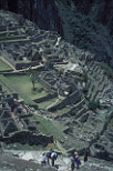 Peru, peruvian, ruins, machu picchu, incas, terraces.