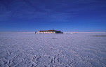 Bolivia, South America, uyuni, salt, evaporation, lakes, salt lake, salt lakes, salt palace, salt palaces.