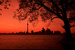 Canada, Toronto, Centre Island, Sunset, sunsets, sunrises and sunsets, mood, mood scene, mood scenes, architecture, tower, towers, CN tower, silhouette, silhouettes, tree, trees, FF25,