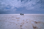 South America, bolivia, uyuni, salt, evaporation, lake, lakes, salt lake, salt lakes, salar de uyuni, cloud, clouds.