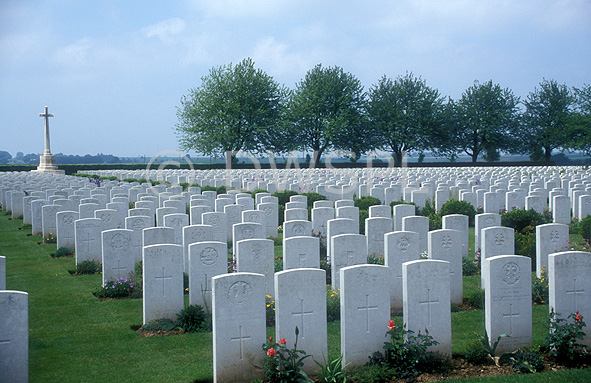 stock photo image: Europe, France, French, Caterpillar Valley, Somme, the Somme, CWGC cemetery, grave, graves, graveyard, graveyards, grave yard, grave yards, cemetery, cemeteries, headstone, headstones, head stone, head stones, gravestone, gravestones, grave stone, grave stones, tombstone, tombstones, tomb stone, tomb stones, burial, burials, burial ground, burial grounds, death, deaths, tree, trees, headstone, headstones, TL29,