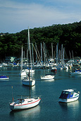 Australia, new South Wales, nsw, manly, balgowlah, boat, boats, boating, yacht, yachts, moore, moored, mooring, moorings, water, harbour, harbours, sydney harbour, FF25,