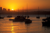 NSW, New South Wales, australia, sydney, watsons bay, sunsets, sunrises and sunsets, mood, mood scene, high-rise, high-rise building, high-rise buildings, building, buildings, mood scenes, sunset, yacht, yachts, boat, boats, moored, moorings, highrise, high rise, highrise building, highrise buildings, skyscraper, skyscrapers, building, buildings, harbour, harbours, boat, boats, boating, FF25,