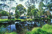Australia, vic, victoria, lorne, river, rivers, camp, camps, camping, caravan, caravans, great ocean road, tree, trees, water, tent, tents, erskine, erskine river, FF25,