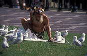 People, man, men, male, males, homeless, homeless people, homeless man, homeless men, derelict, derelicts, australia, park, parks, sydney, nsw, new South Wales, gull, gulls, bird, birds, seagull, seagulls, newspaper, newspapers, paper, read, reads, reading, beard, beards, communications, media.