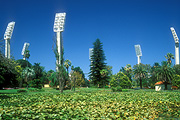 Australia, wa, western australia, perth, queens gardens, waca, waca cricket ground, cricket, Sport pictures, Sports, stadium, stadiums, light, lights, lighting, palm tree, palm trees, pond, ponds, FF25,