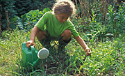 People, garden, gardens, Gardening, child, children, children gardening, child gardening, female, females, girl, girls, vegetable garden, vegetable gardens, watering can, watering cans, outdoors, leisure, AH14,