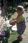People Gardening, gardening, child gardening, children gardening, garden, gardens, people, child, children, toddler, toddlers, young child, young children, watering can, watering cans, girl, girls, child in the garden, children in the garden, Australia, Sport pictures, Sports, balloon images, hot air balloons
