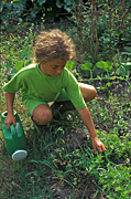 People gardening, garden, gardens, gardening, children, people, child, children gardening, child gardening, girl, girls, female, females, vegetable garden, vegetable gardens, watering can, watering cans, child in the garden, children in the garden, Australia, Sport pictures, Sports, balloon images, hot air balloons