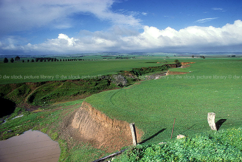 stock photo image: Erosion, erode, eroded, environmental, environmental damage, soil, soil erosion, Tarlee, SA, South Australia, australia, erosion, eroding, australia, rural, rural scene, rural scenes, farmland, farming land, farm land, farming land.