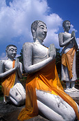 Asia, thailand, bangkok, wats, buddhas, praying, prayers, ayutthaya, wat yai chai mongkon, statue, statues, pray, prays, prayer, prayers, praying, buddha, buddhas.
