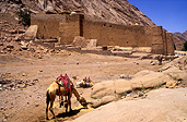 Egypt, sinai, monastery, monasteries, st catherine, st catherines, saint catherine, camel, camels, architecture, byzantine, justinian the great, burning bush of moses, mount sinai, mt sinai, mount of moses, mt of moses, moses.