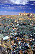 Pollution, rubbish, garbage, littered, litter, litters, littering, environmental, wine, wine bottle, wine bottles, bottle, bottles, broken bottle, broken bottles, Oodnadatta, Oodnadatta track, SA, South Australia, australia, ruin, ruins.