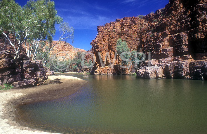 stock photo image: Australia, NT, Northern Territory, gorge, gorges, macdonnell, macdonnell ranges, cliff, cliffs, water, tree, trees, eucalyptus, eucalyptus tree, eucalyptus trees, gum tree, gum trees.