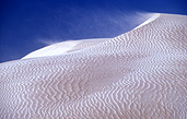 Australia, Australian, Australian desert, Australian deserts, sa, south australia, ceduna, cactus beach, dune, dunes, sand dune, sand dunes, desert, deserts, desert scenes, sand, white, wind, winds.