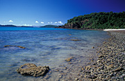 Australia, Beach, Beaches, water, coast, coasts, coastal, coastline, coastlines, coral beach, conway, conway np, conway national park, qld, queensland, water, pebble, pebbles.