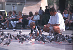 Family, Families, Father, Fathers, Parent, Parents, Parenting, Parenthood, son, sons, people, child, children, pigeon, pigeons, Spain, Barcelona, Plaza De Catalunya, bird, birds, FF25,