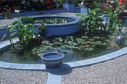 Garden, gardens, pond, ponds, garden pond, garden ponds, waterlily, waterlilies, water lily, water lilies, waterfeature, waterfeatures, water feature, water features, blue, gravel, Quadrille.