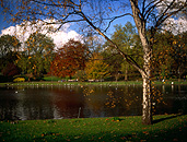 Europe, Western Europe, UK, Britain, British Isles, England, United Kingdom, Great Britain, london, autumn scene, autumn scenes, park, parks, st james, st james park, autumn, autumn scene, autumn scenes, lake, lakes, water, tree, trees, autumn foliage, FF25,