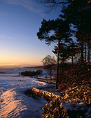 Europe, Western Europe, UK, Britain, British Isles, England, United Kingdom, Great Britain, derbyshire, winter, snow, winter scene, winter scenes, wall, walls, snow scene, snow scenes, tree, trees, FF25,