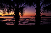Australia, Beach, Beaches, water, coast, coasts, coastal, coastline, coastlines, dusk, happy bay, bay, bays, happy, long island, long island np, long island national park, national park, national parks, tree, trees, palm tree, palm trees, silhouette, silhouettes, seashore, seashores, shoreline, shorelines, mood, mood scene, mood scenes, sunset, sunsets, sunrises and sunsets.