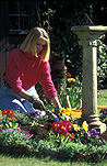 People gardening, garden, gardens, woman gardening, women gardening, Gardening, clippers, shears, garden shears, gardening shears, people, woman, women, female, females, garden tools, gardening tools, tools, leisure, outdoors, pillar, pillars, column, columns, Australia, Sport pictures, Sports, balloon images, hot air balloons