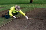Australia, sydney, nsw, new South Wales, centennial park, man, men, male, males, occupation, occupations, council, councils, council worker, council workers, gardener, gardeners, gardening, park, parks, centennial, lawn, lawns.