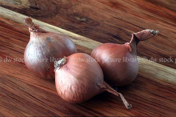 stock photo image: Food, Vegetable, vegetables, onion, onions, allium, Golden Eschallot, Golden Eschallots.