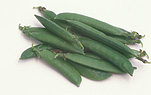 PEA PODS, PISUM SATIVUM