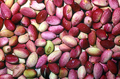 Food, nut, nuts, pistachio, Pistachios, pistachio nut, Pistachio nuts, Pistacia, Pistacia vera, vera, pistache, pistaches, Anarcardiaceae, seed, seeds.