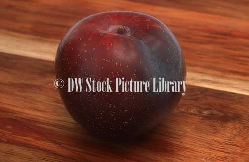 stock photo image: Fruit, plum, plums, stone fruit, stone fruits, stonefruit, stonefruits, tegan blue, tegan blue plum, tegan blue plums, Prunus domestica, Agriculture.