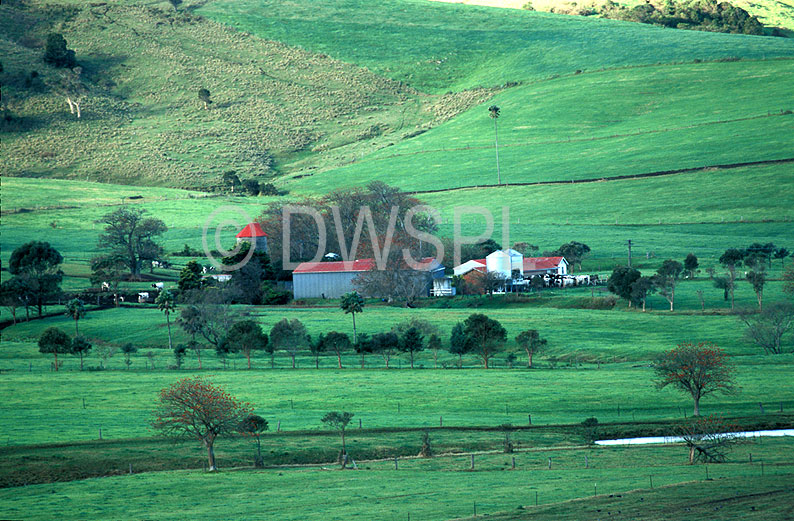 stock photo image: Australia, New South Wales, house, houses, farm, farms, farm building, farm buildings, farm house, farm houses, farmhouse, farmhouses, rural, rural scene, rural scenes.