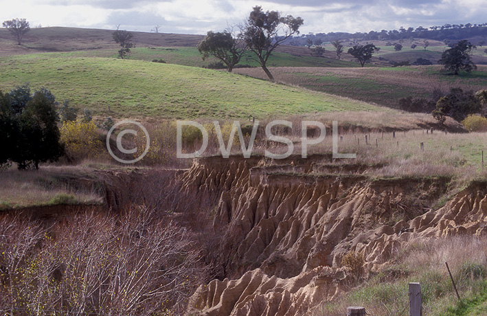 stock photo image: Australia, New South Wales, Erosion, erode, eroded, soil, soil erosion, farmland, eroded farmland, eroded, environmental damage.