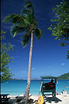 Caribbean, The Caribbean, Caribbean Islands, Saint Thomas, Magens Beach, beach, beaches, coast, coasts, coastline, coastlines, seashore, seashores, shoreline, shorelines, palm tree, palm trees, palmtree, palmtrees, sand, lifeguard, lifeguards, FF25,
