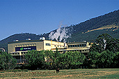Australia, tas, tassie, tasmania, new norfolk, factory, factories, timber factory, timber factories, industry.