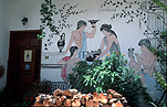 Greece, Europe, Southern Aegean, Southern Aegean region, Meteora, Thessaly, Central Greece, kastraki, mural, murals, wall mural, wall murals.