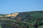 Greece, Europe, Southern Aegean, Southern Aegean region, pelion, fire, fires, bushfire, bushfires, disaster, disasters, natural disaster, natural disasters, hill, hills, forest, forests.